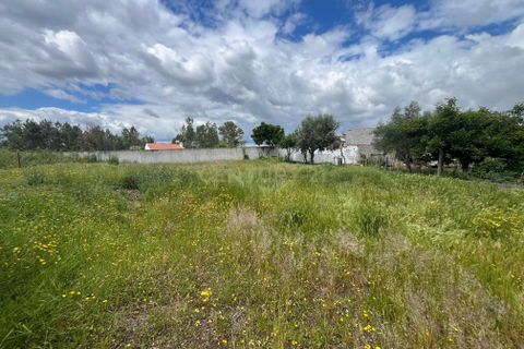 Helårsgrund i Abrantes, Santarem, Abrantes - € 70.000 | Ref: C0409-01649 - foto 16