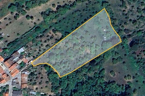 Helårsgrund i Abrantes, Santarem, Abrantes - € 10.000 | Ref: C0409-01650 - foto 2