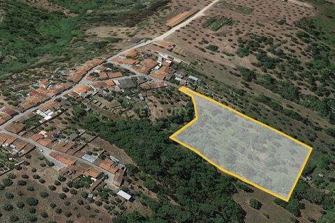 Helårsgrund i Abrantes, Santarem, Abrantes - € 10.000 | Ref: C0409-01650 - foto 4