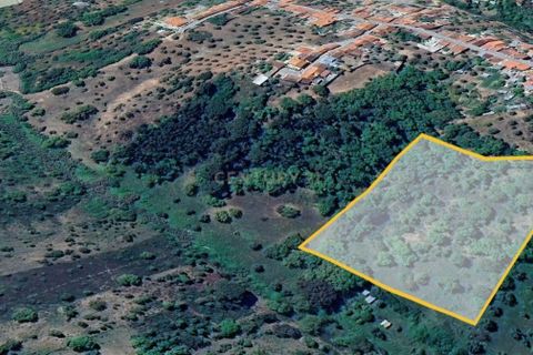 Helårsgrund i Abrantes, Santarem, Abrantes - € 10.000 | Ref: C0409-01650 - foto 5