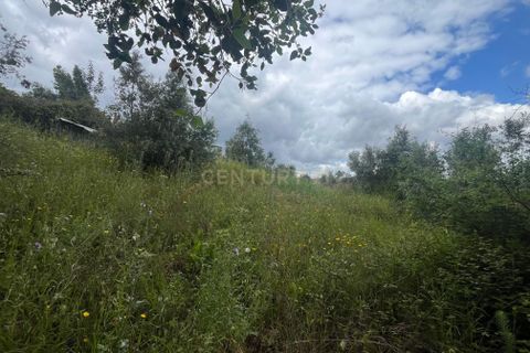 Helårsgrund i Abrantes, Santarem, Abrantes - € 10.000 | Ref: C0409-01650 - foto 6