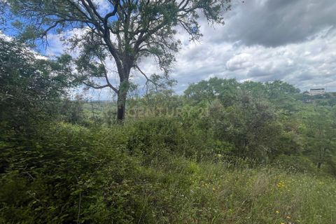 Helårsgrund i Abrantes, Santarem, Abrantes - € 10.000 | Ref: C0409-01650 - foto 7
