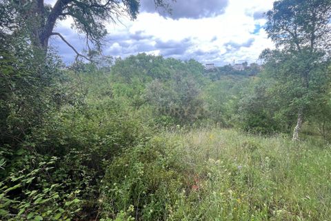 Helårsgrund i Abrantes, Santarem, Abrantes - € 10.000 | Ref: C0409-01650 - foto 8