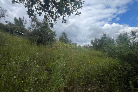 Helårsgrund i Abrantes, Santarem, Abrantes - € 10.000 | Ref: C0409-01650 - foto 9