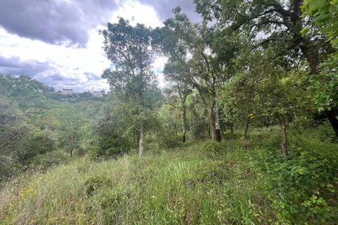 Helårsgrund i Abrantes, Santarem, Abrantes - € 10.000 | Ref: C0409-01650 - foto 10