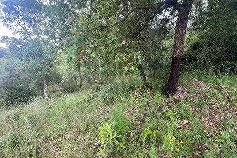 Helårsgrund i Abrantes, Santarem, Abrantes - € 10.000 | Ref: C0409-01650 - foto 11