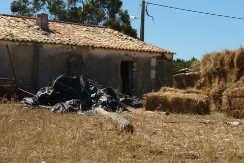 Farm i Odeceixe, Faro, Odeceixe - € 950.000 | Ref: 1054 - foto 1
