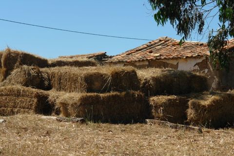 Farm i Odeceixe, Faro, Odeceixe - € 950.000 | Ref: 1054 - foto 2