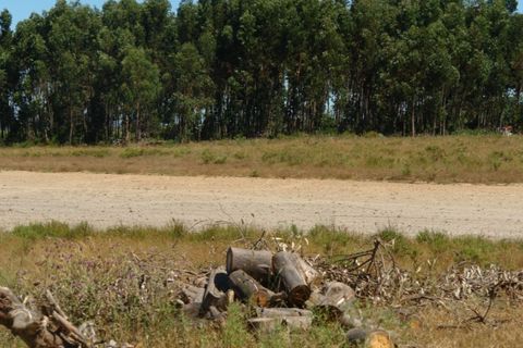 Farm i Odeceixe, Faro, Odeceixe - € 950.000 | Ref: 1054 - foto 3