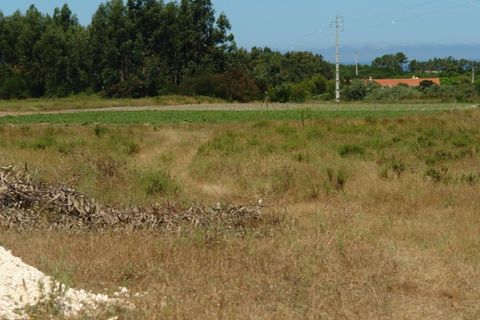 Farm i Odeceixe, Faro, Odeceixe - € 950.000 | Ref: 1054 - foto 8