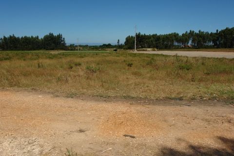 Farm i Odeceixe, Faro, Odeceixe - € 950.000 | Ref: 1054 - foto 14