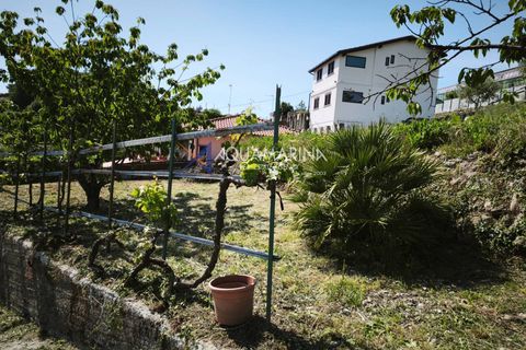 Villa i Ventimiglia, Imperia, Ventimiglia - € 560.000 | Ref: 14124 - foto 41