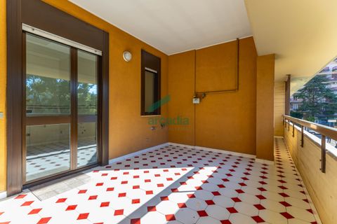 Erhvervsejendom i Bari, Bari, Bari - € 240.000 | Ref: 12008/2026 - foto 23
