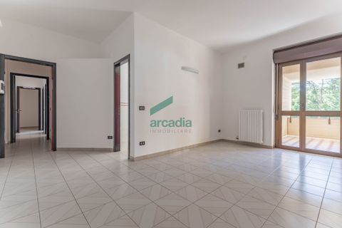 Erhvervsejendom i Bari, Bari, Bari - € 240.000 | Ref: 12008/2026 - foto 33