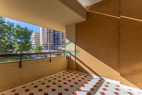 Erhvervsejendom i Bari, Bari, Bari - € 240.000 | Ref: 12008/2026 - foto 37