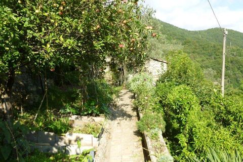 Byhus i Rapallo, Genoa, Rapallo - € 149.000 | Ref: 22799 - foto 15