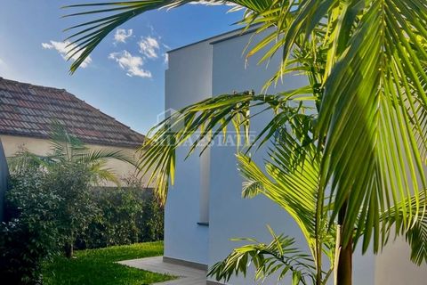 Villa i Arco da Calheta, Madeira, Arco da Calheta - € 1.575.000 | Ref: VIL_549 - foto 31