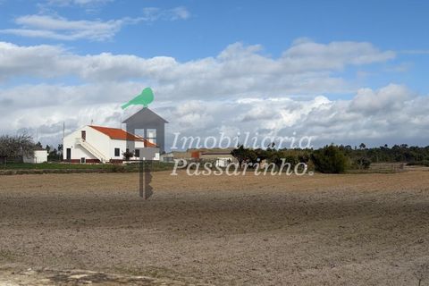 Landejendom i Rogil, Faro, Rogil - € 740.000 | Ref: IP45026 - foto 6
