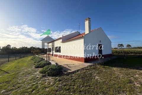 Landejendom i Rogil, Faro, Rogil - € 740.000 | Ref: IP45026 - foto 2