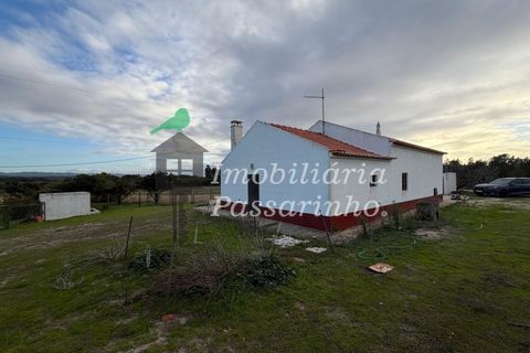 Landejendom i Rogil, Faro, Rogil - € 740.000 | Ref: IP45026 - foto 7