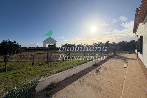 Landejendom i Rogil, Faro, Rogil - € 740.000 | Ref: IP45026 - foto 9