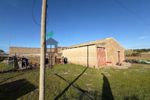 Landejendom i Rogil, Faro, Rogil - € 740.000 | Ref: IP45026 - foto 10