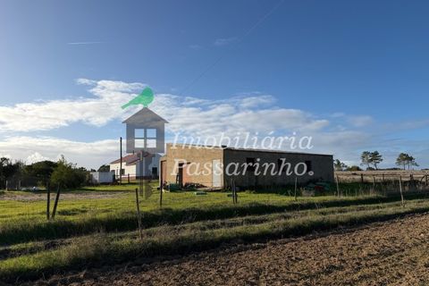 Landejendom i Rogil, Faro, Rogil - € 740.000 | Ref: IP45026 - foto 12