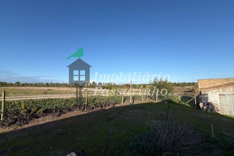 Landejendom i Rogil, Faro, Rogil - € 740.000 | Ref: IP45026 - foto 13