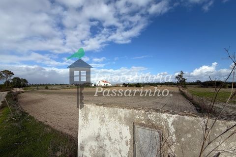 Landejendom i Rogil, Faro, Rogil - € 740.000 | Ref: IP45026 - foto 14