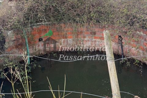 Landejendom i Rogil, Faro, Rogil - € 740.000 | Ref: IP45026 - foto 15