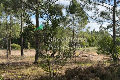 Landejendom i Rogil, Faro, Rogil - € 740.000 | Ref: IP45026 - foto 16