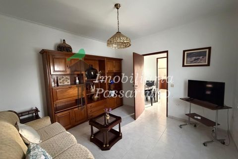 Landejendom i Rogil, Faro, Rogil - € 740.000 | Ref: IP45026 - foto 20