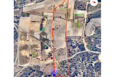 Landejendom i Rogil, Faro, Rogil - € 740.000 | Ref: IP45026 - foto 27