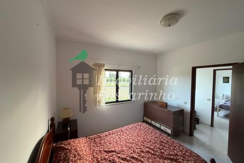 Landejendom i Rogil, Faro, Rogil - € 740.000 | Ref: IP45026 - foto 28