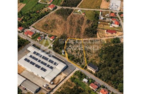 Helårsgrund i Agueda, Aveiro, Agueda - € 125.000 | Ref: 6755 - foto 1