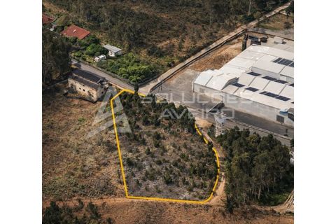 Helårsgrund i Agueda, Aveiro, Agueda - € 125.000 | Ref: 6755 - foto 2