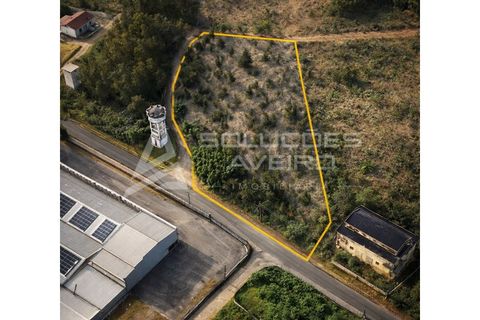 Helårsgrund i Agueda, Aveiro, Agueda - € 125.000 | Ref: 6755 - foto 3