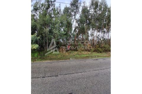 Helårsgrund i Agueda, Aveiro, Agueda - € 125.000 | Ref: 6755 - foto 5