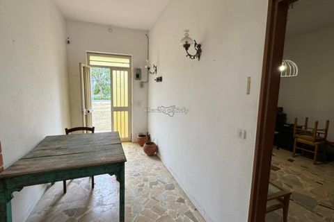 Villa a Scicli, Ragusa, Scicli - € 240.000 | Ref: PS 05 - foto 28