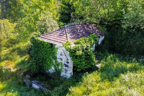 Tomt i Amarante, Porto, Amarante - € 160 000 | Ref: ZMPT577759 - foto 7