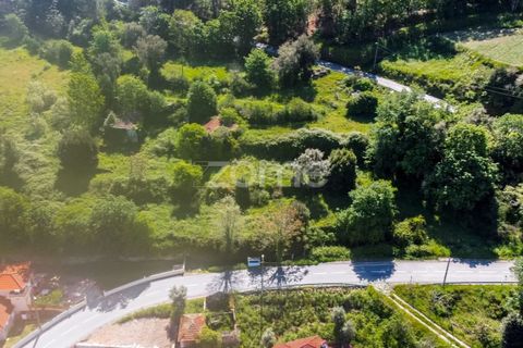 Tomt i Amarante, Porto, Amarante - € 160 000 | Ref: ZMPT577759 - foto 8
