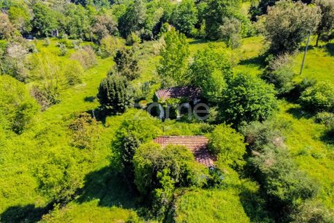 Tomt i Amarante, Porto, Amarante - € 160 000 | Ref: ZMPT577759 - foto 11