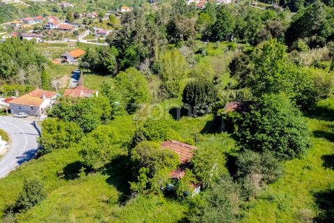 Tomt i Amarante, Porto, Amarante - € 160 000 | Ref: ZMPT577759 - foto 13