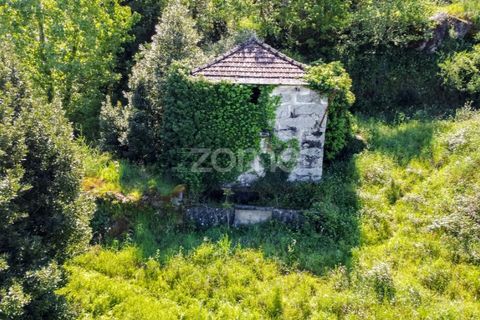Tomt i Amarante, Porto, Amarante - € 160 000 | Ref: ZMPT577759 - foto 14