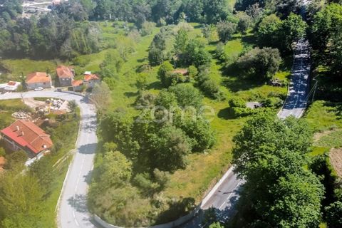 Tomt i Amarante, Porto, Amarante - € 160 000 | Ref: ZMPT577759 - foto 16