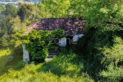 Tomt i Amarante, Porto, Amarante - € 160 000 | Ref: ZMPT577759 - foto 17