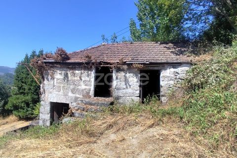 Tomt i Amarante, Porto, Amarante - € 160 000 | Ref: ZMPT577759 - foto 18