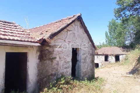 Tomt i Amarante, Porto, Amarante - € 160 000 | Ref: ZMPT577759 - foto 19