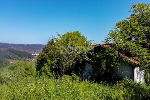 Tomt i Amarante, Porto, Amarante - € 160 000 | Ref: ZMPT577759 - foto 20
