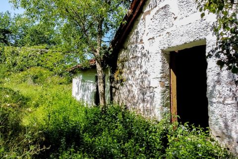 Tomt i Amarante, Porto, Amarante - € 160 000 | Ref: ZMPT577759 - foto 21